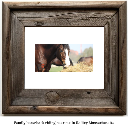 family horseback riding near me in Hadley, Massachusetts